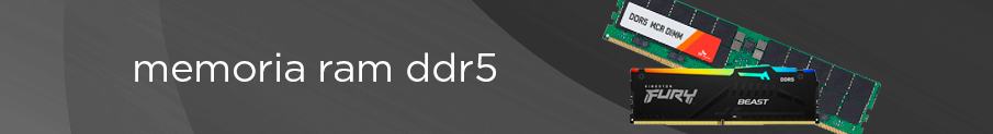 Memoria RAM DDR5 Memoria RAM DDR5